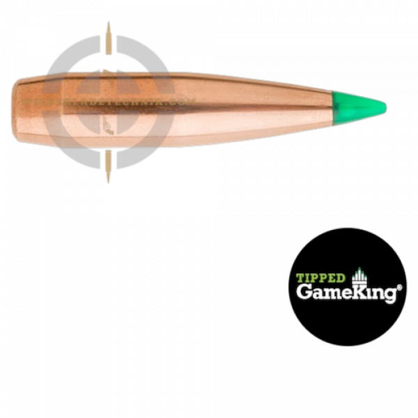 Tipped GameKing 4440 Geschoss